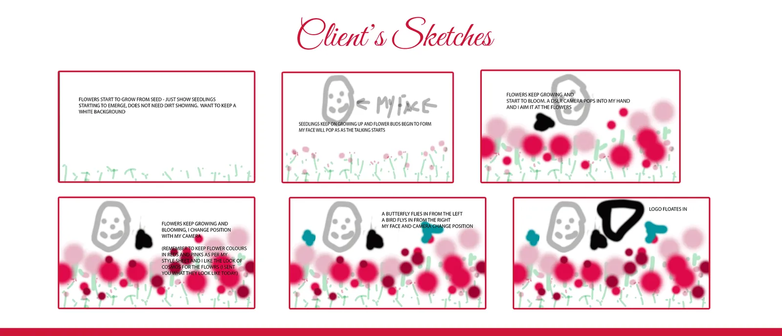 Cheryl’s hand-drawn storyboard sketches: rough flower shapes with her notes written on them