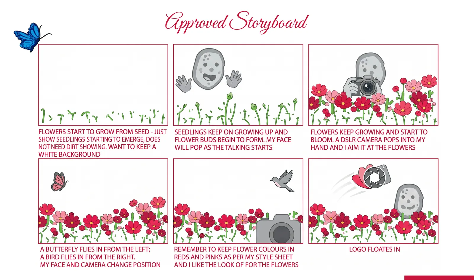 The approved six-frame storyboard for the growing-flowers concept, captioned with Cheryl’s own directions