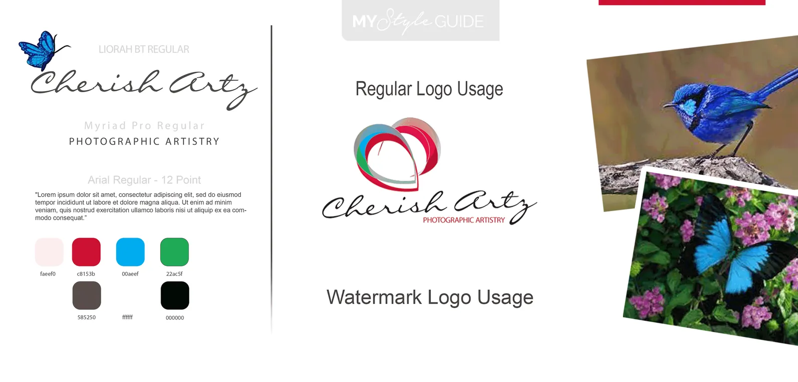 Cheryl’s own style guide: the Cherish Artz palette, logo usage and the bird and butterfly she sent as reference